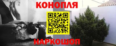 спиды Заводоуковск