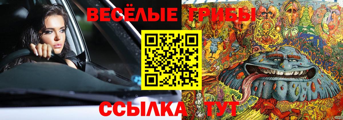 Галлюциногенные грибы MAGIC MUSHROOMS Электрогорск