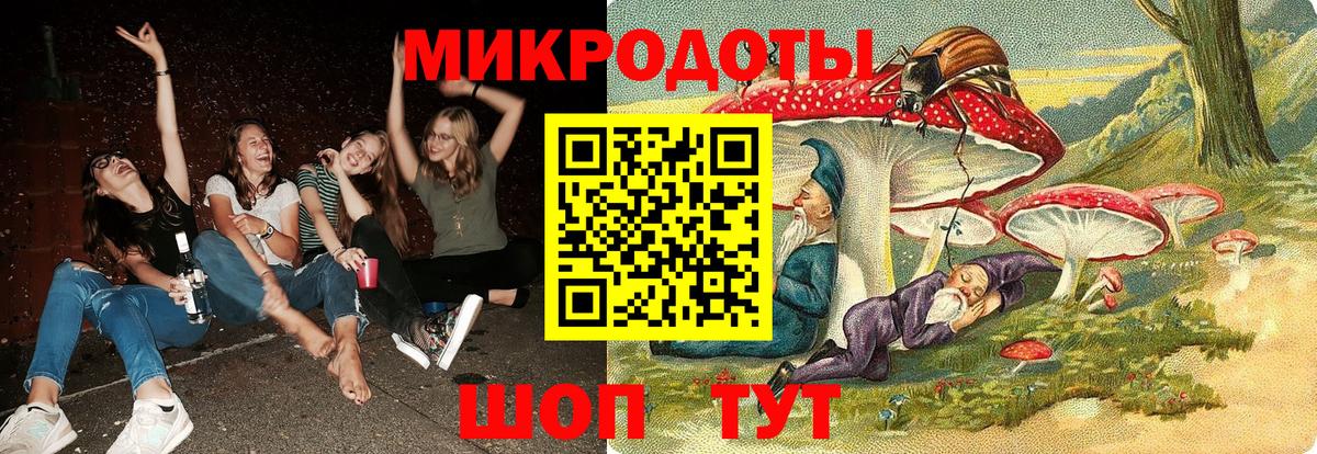 Электрогорск  Галлюциногенные грибы прущие грибы  Вход с VPN 