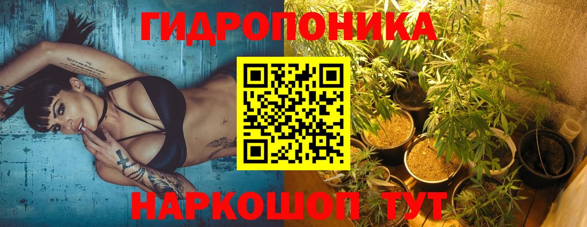Бошки Шишки Ganja  Бошки Шишки гибрид  Шишки марихуана White Widow  Вход с VPN  Электрогорск  Канабис сатива 